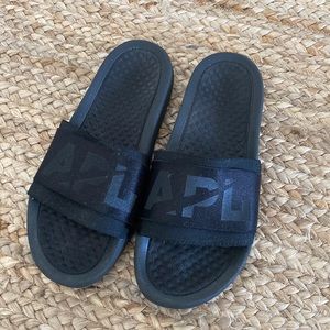 APL slides